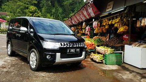 Mitsubishi Recall 995 Unit Delica
