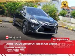 2019 Lexus RX 300 2.0 Luxury SUV