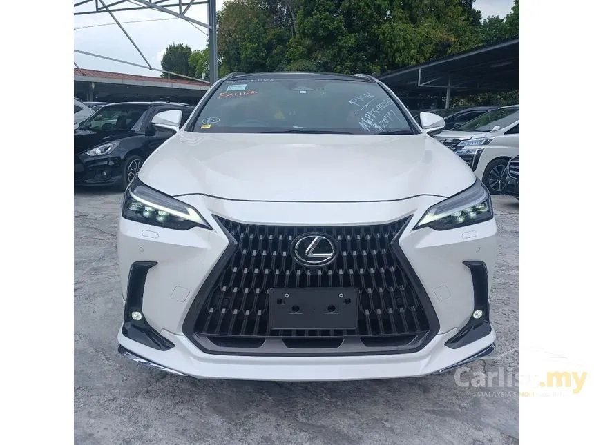 2023 Lexus NX250 Luxury SUV