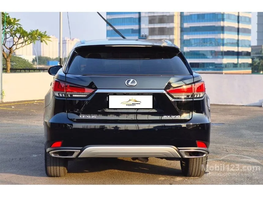 2021 Lexus RX 300 Luxury SUV