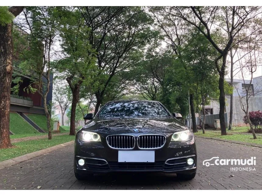 2015 BMW 520i Luxury Sedan