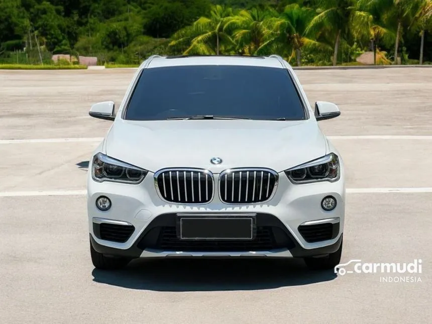 2019 BMW X1 sDrive18i xLine SUV