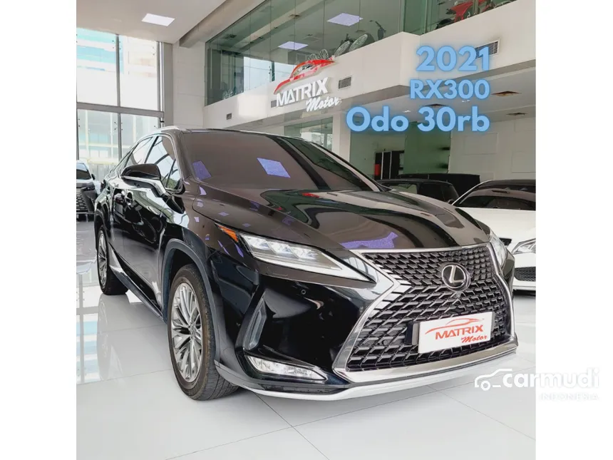 2021 Lexus RX300 Luxury SUV