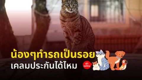 น้องๆทำรถเป็นรอย เคลมได้ไหม