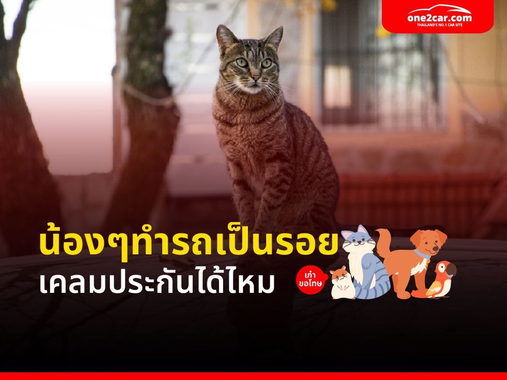 น้องๆทำรถเป็นรอย เคลมได้ไหม