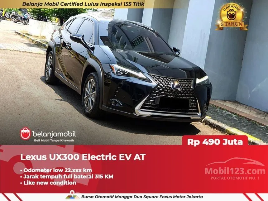 2022 Lexus UX 300e SUV